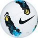 Футбольные мячи NIKE