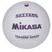 Волейбольные мячи Mikasa