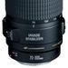 Canon EF 70-300mm F/4-5.6 IS USM