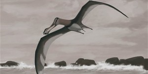 Птерозавров рисуют неправильно