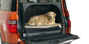 Honda Element - первая машина для собак