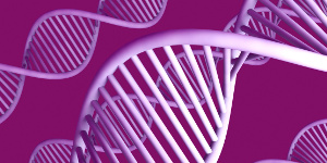 ученые нашли гены долголетия