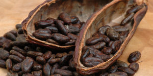 лечебные свойства какао