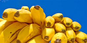 Заморское лакомство – бананы