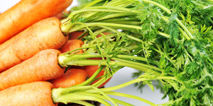 Морковь и ее полезные свойства