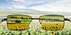 10 советов как сохранить зрение