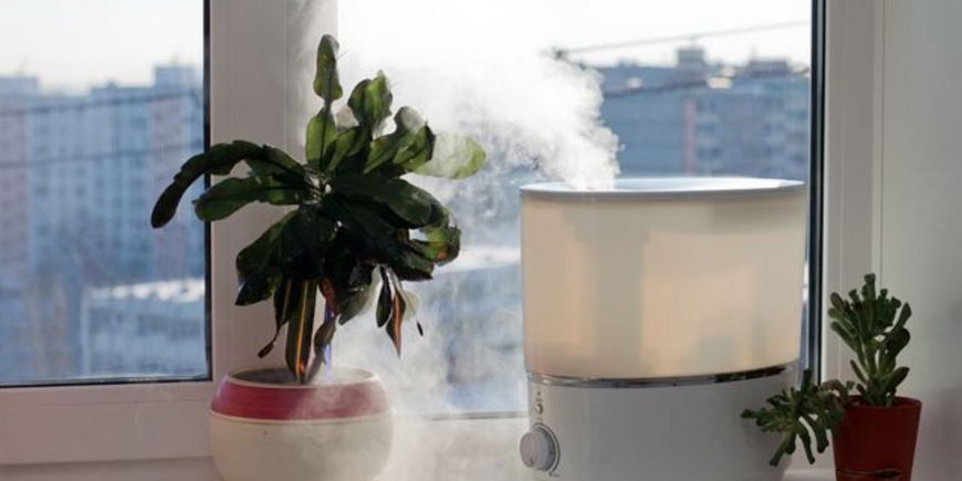 Как увлажнить воздух в квартире