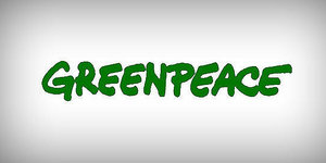 Активистов Greenpeace признали пиратами