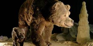 Восстановлена ДНК пещерного медведя