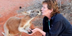 Три удивительных истории о кенгуру