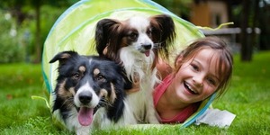 Советы хозяевам собак: аллергия на питомца