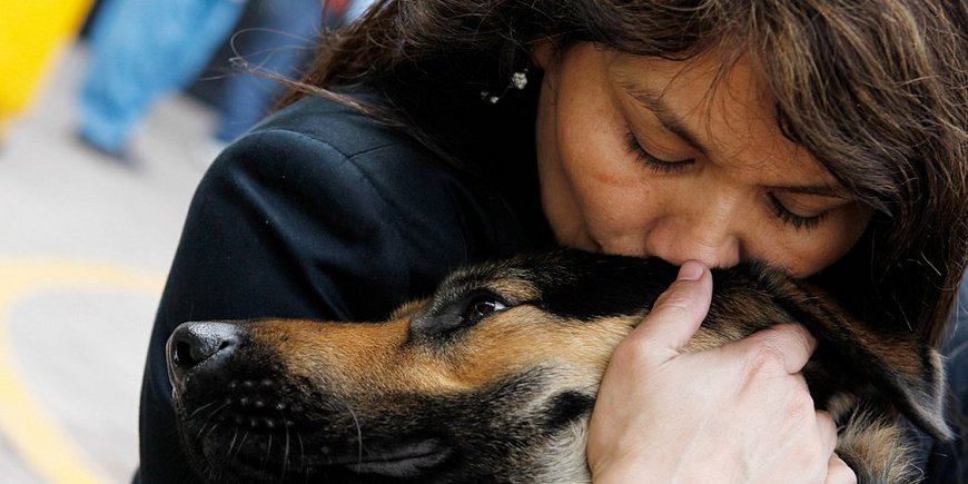 Поцелуи с собаками укрепляют иммунитет