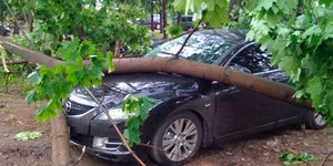 Что делать, если на машину упало дерево