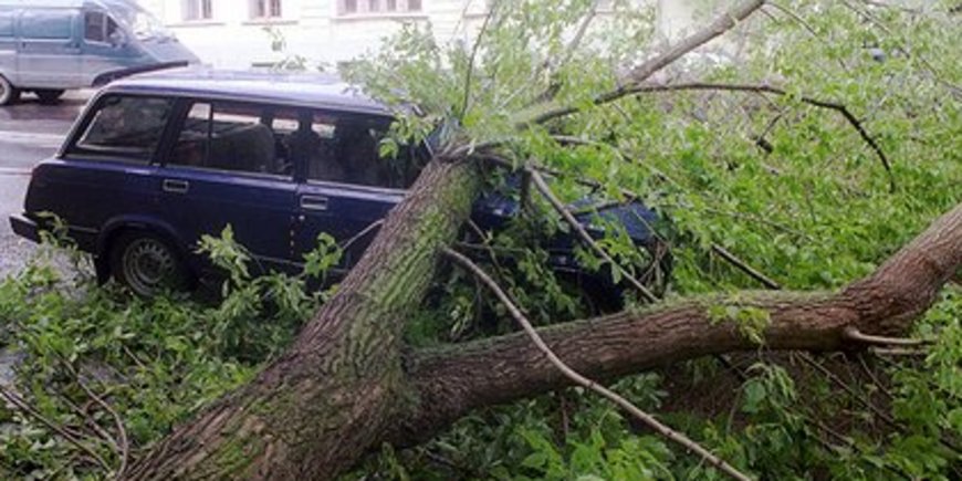 Московские водители испугались урагана