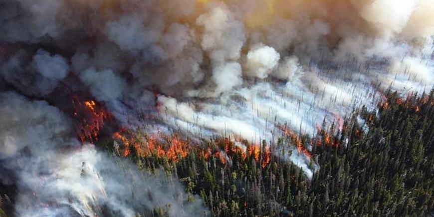 Во что России обошлись лесные пожары