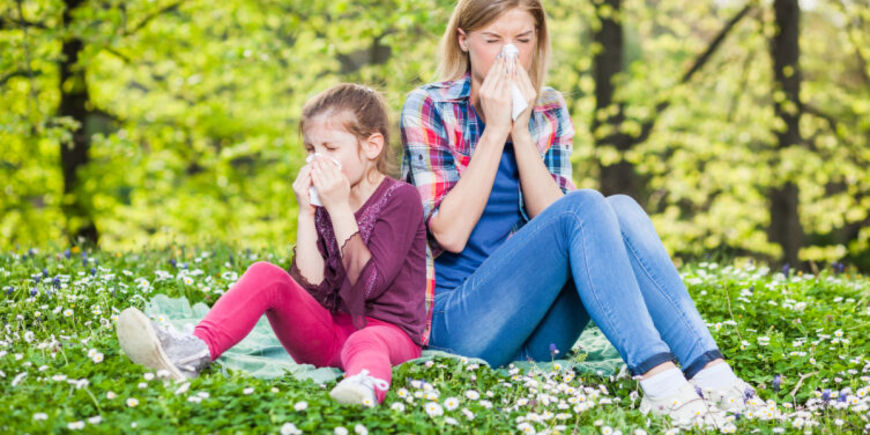 Как дать отпор несносной аллергии