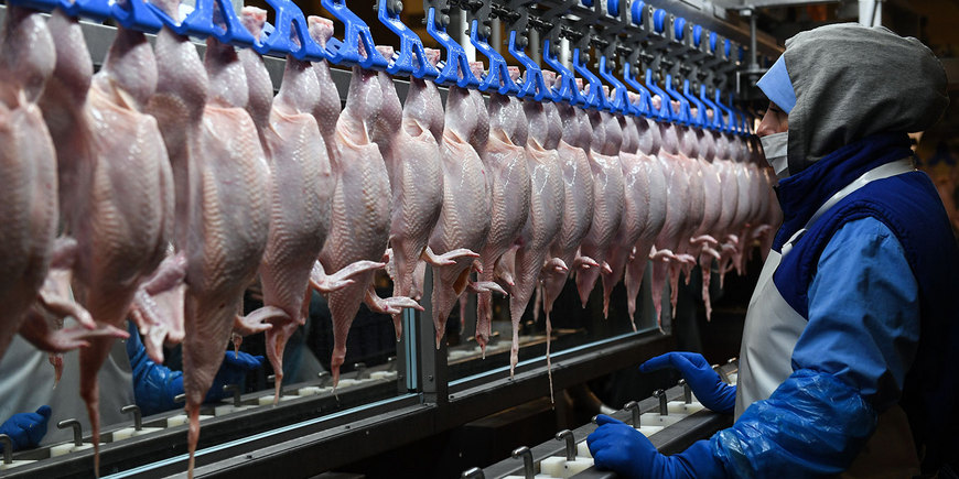 Россиян ждет повышение цен на мясо птицы