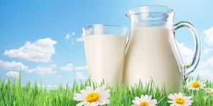 Молочные продукты и их кулинарные секреты
