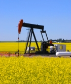 20.11 Цена барреля нефти ОПЕК - $46