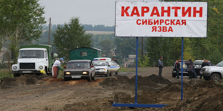 Сибирская язва Москве не угроза