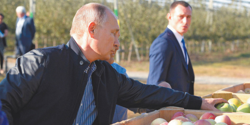 Путин предсказал миру продовольственный кризис