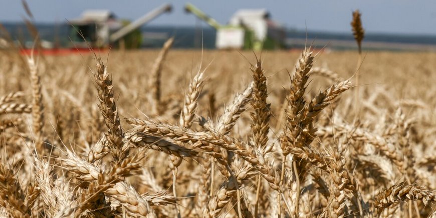 Новое условие продления зерновой сделки