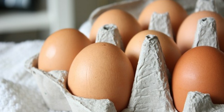 Цены на яйца в России снизились