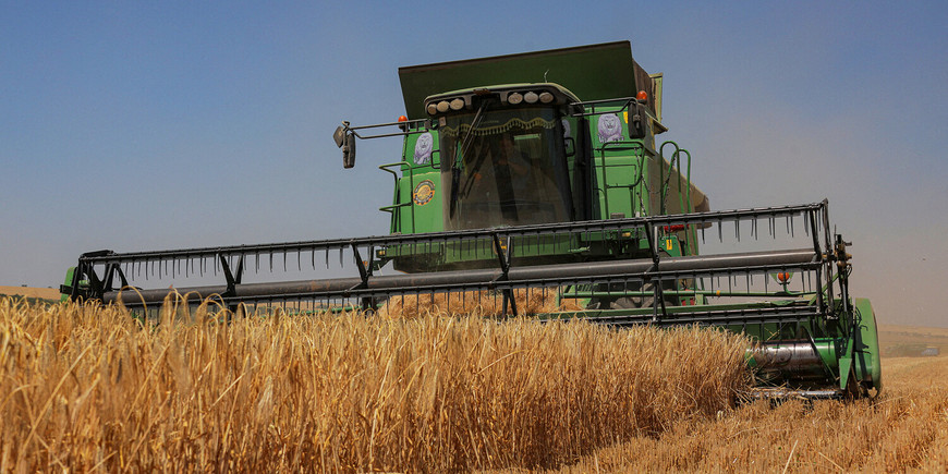 ЕС повысит тарифы на зерно из России