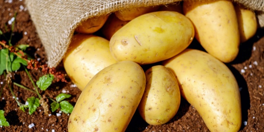 Картофель дорожает быстрее других продуктов