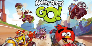Гоночная игра Angry Birds
