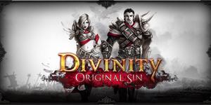 Divinity: Original Sin - современная классика