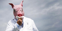 Пять мифов о свином гриппе