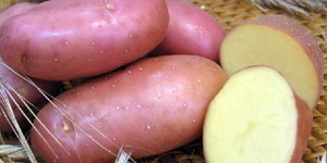 Картофель и его лечебные свойства