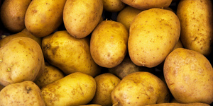 Картофель полезен для снижения давления