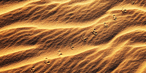 Песок в почках: симптомы и лечение