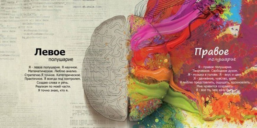 Как развивать полушария мозга