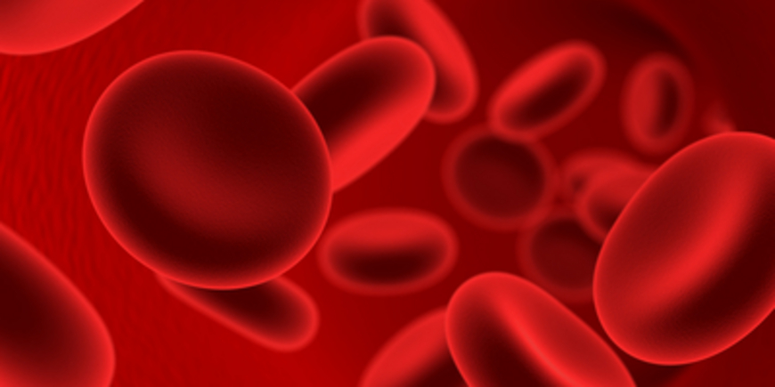 Семь мифов о донорстве крови