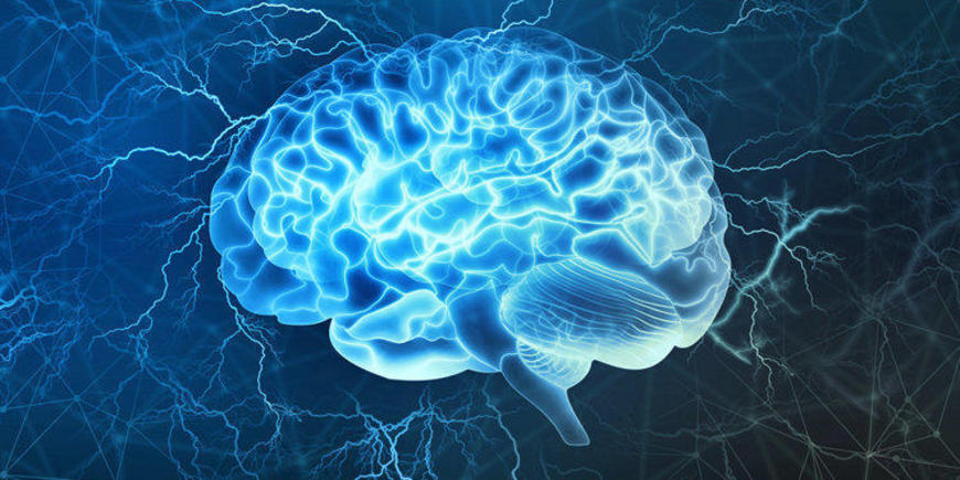 Как нейробиолог омолодил свой мозг