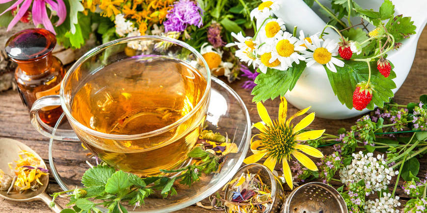 Травяные чаи: польза, рецепты
