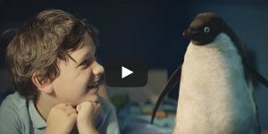 Пингвин Монти и мальчик Сэм