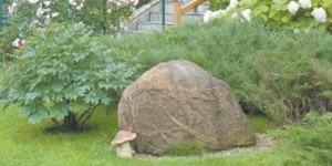 Как использовать камни для дизайна сада