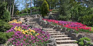 Сад: ступени и лестницы