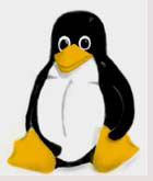 Linux не оправдал доверие покупателей нетбуков!