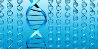 Чипы на базе ДНК