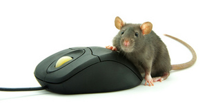 ThumbTrack: самая маленькая мышь
