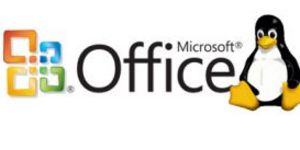 Эксперты ждут Microsoft Office для Linux