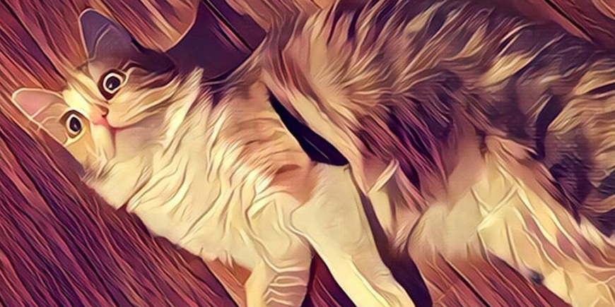 Фотоприложение Prisma обновило дизайн