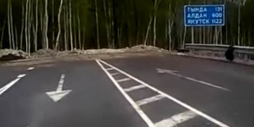 В Приамурье построили дорогу в лес