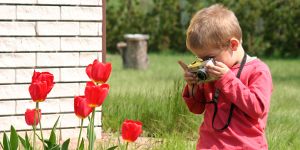 Фотографируем цветы и растения