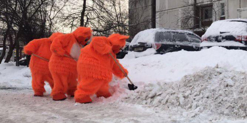 Коты спасут Москву от снега